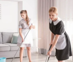 Private housekeeper