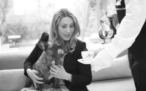 Sara Vestin Rahmani and her French Bulldog Ava