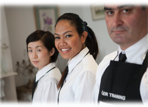 domestic staff