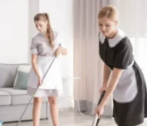 Quality housekeepers maintaining a private home environment in London